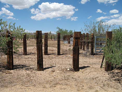 Walking Box Ranch