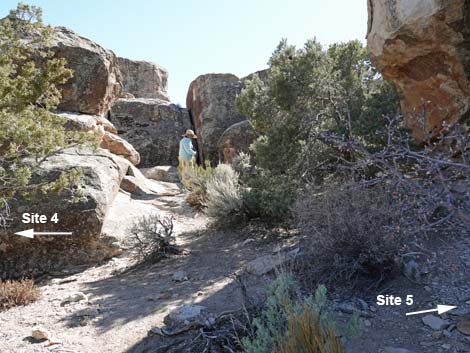 Paiute Rock Site 5