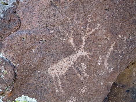 Paiute Rock