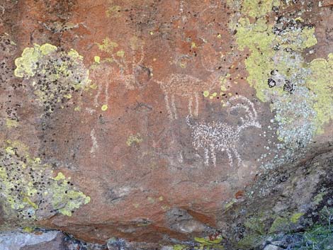 Paiute Rock