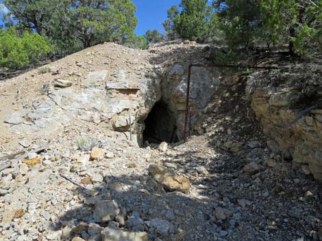 Rosario Mine