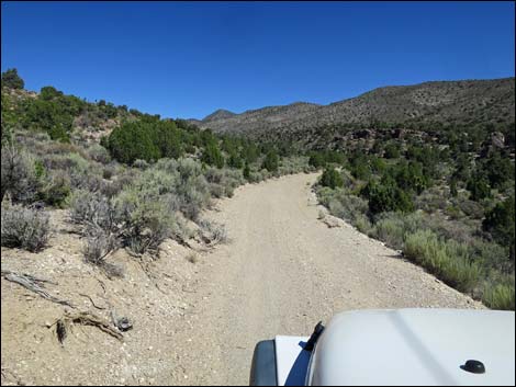 Badger Valley Road