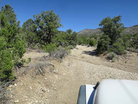 Badger Valley Road