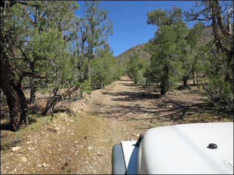 Badger Valley Road