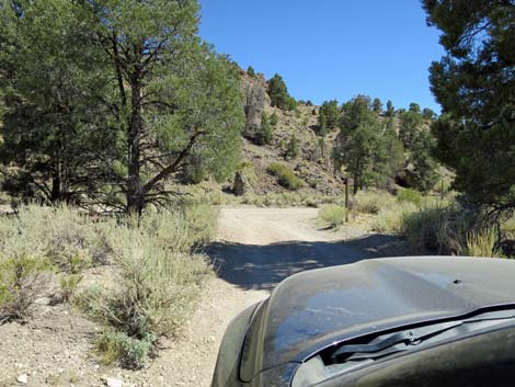 Cherry Creek Road