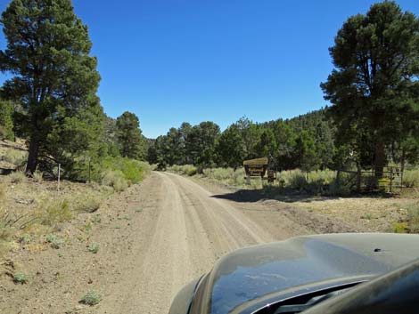 Cherry Creek Road