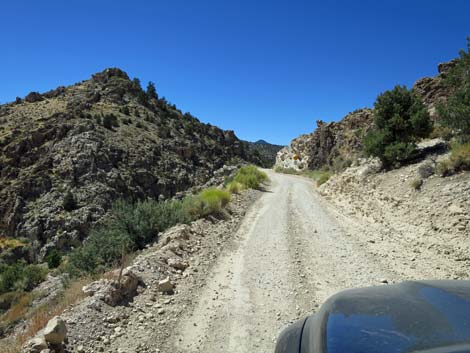 Cherry Creek Road