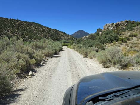 Cherry Creek Road