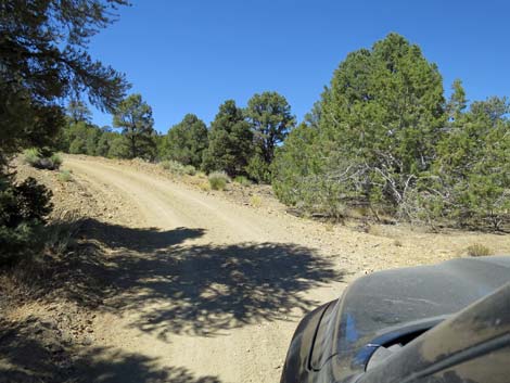 Cherry Creek Road