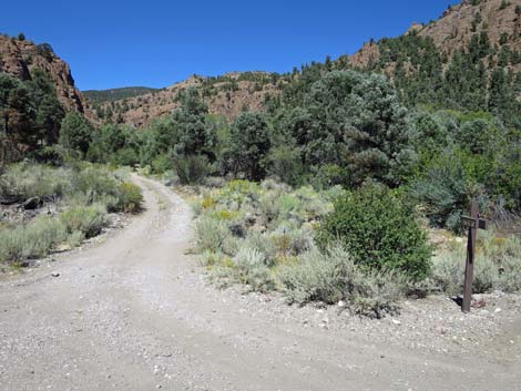 Cherry Creek Road