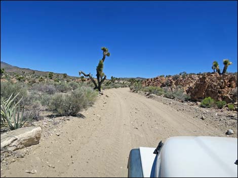 Curtis Canyon Road