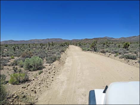 Curtis Canyon Road