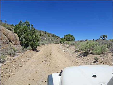 Curtis Canyon Road