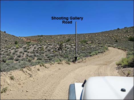 Curtis Canyon Road