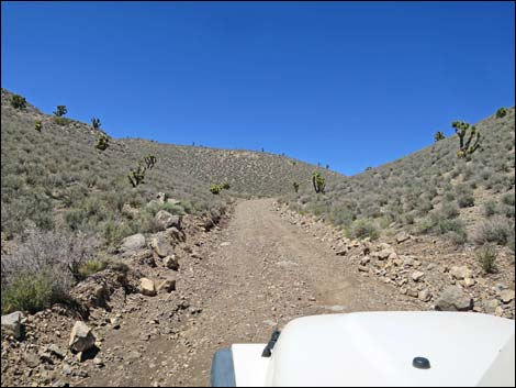 Curtis Canyon Road