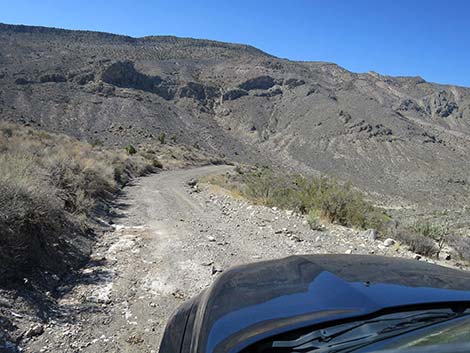 Curtis Canyon Road