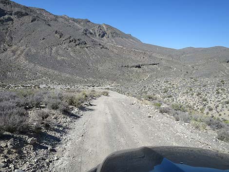 Curtis Canyon Road