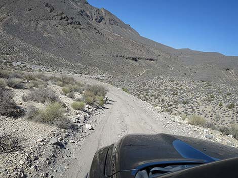 Curtis Canyon Road