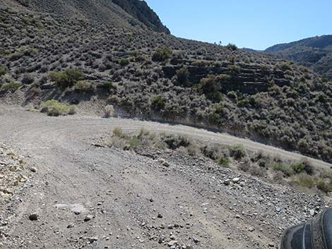 Curtis Canyon Road