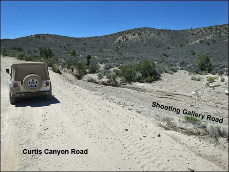 Curtis Canyon Road