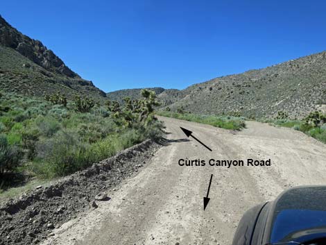 Curtis Canyon Road