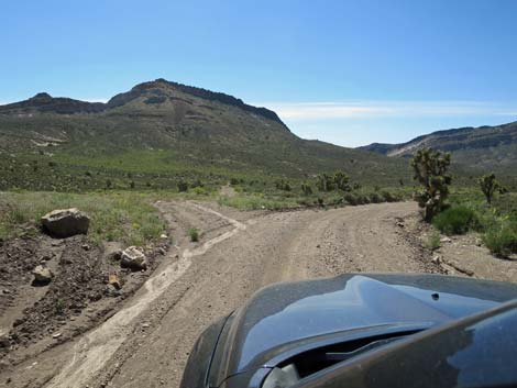 Curtis Canyon Road