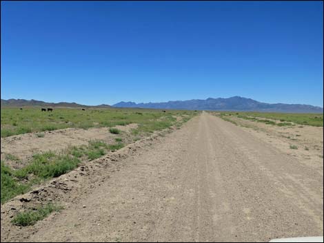 Garden Valley Road