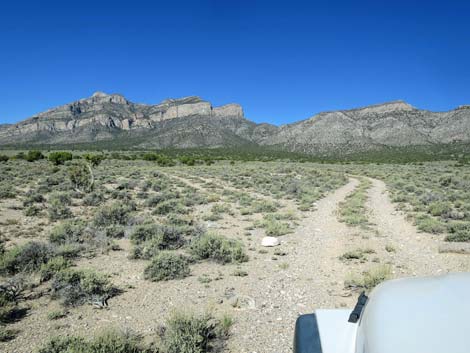 Leviathan Cave Road