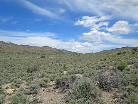 Logan Canyon Road