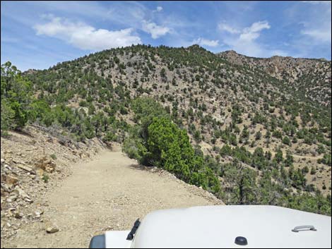 Logan Canyon Road