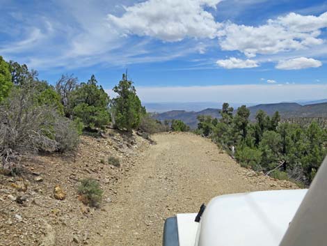 Logan Canyon Road