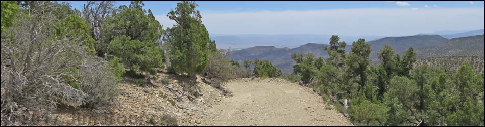 Logan Canyon Road