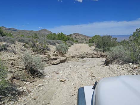 Logan Canyon Road