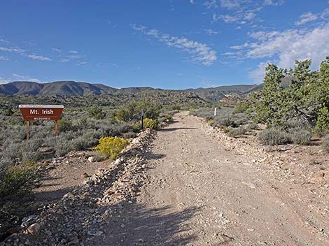 Logan Canyon Road