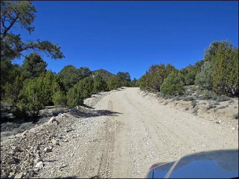 Logan Canyon Road