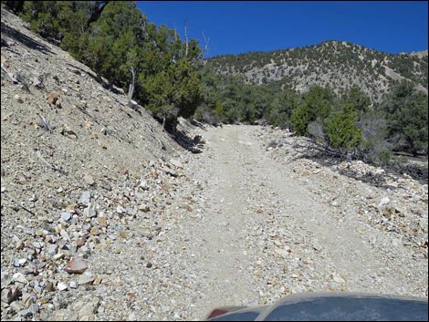 Logan Canyon Road