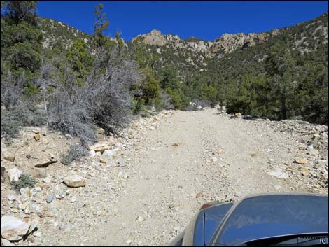 Logan Canyon Road