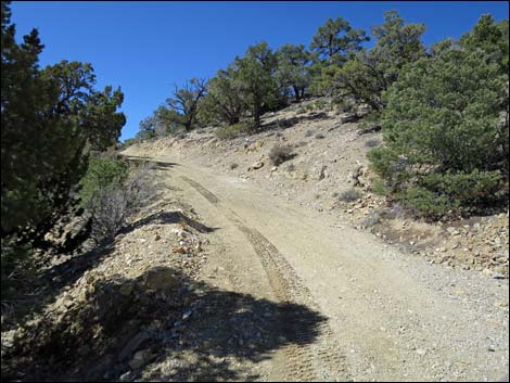 Logan Canyon Road