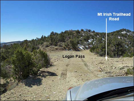 Logan Canyon Road