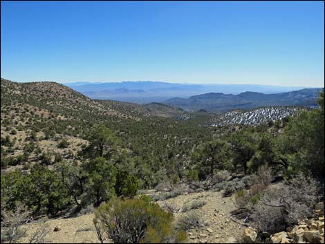 Logan Canyon Road