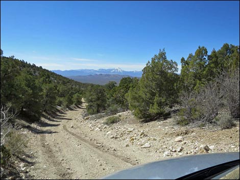 Logan Canyon Road