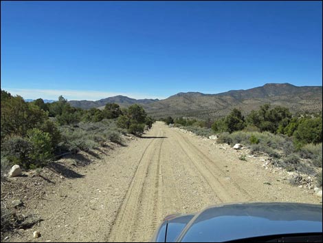 Logan Canyon Road