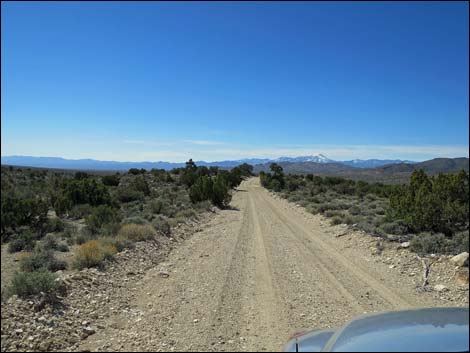 Logan Canyon Road