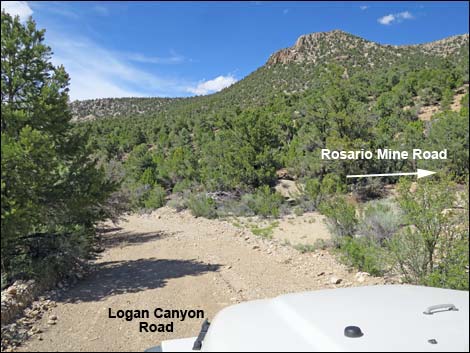 Logan Canyon Road