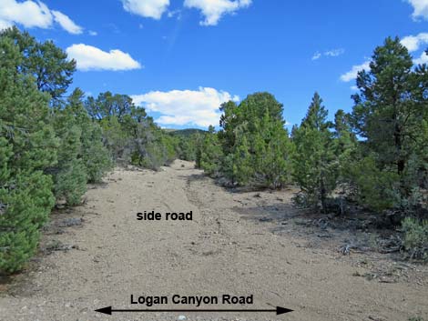 Logan Canyon Road