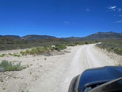 Logan Canyon Road