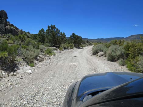 Logan Canyon Road