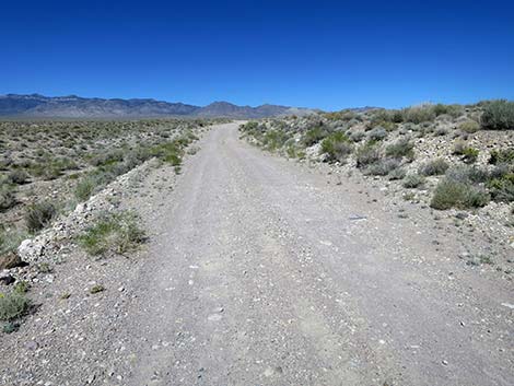 Logan Canyon Road