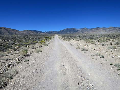 Logan Canyon Road