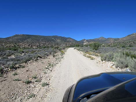 Logan Canyon Road